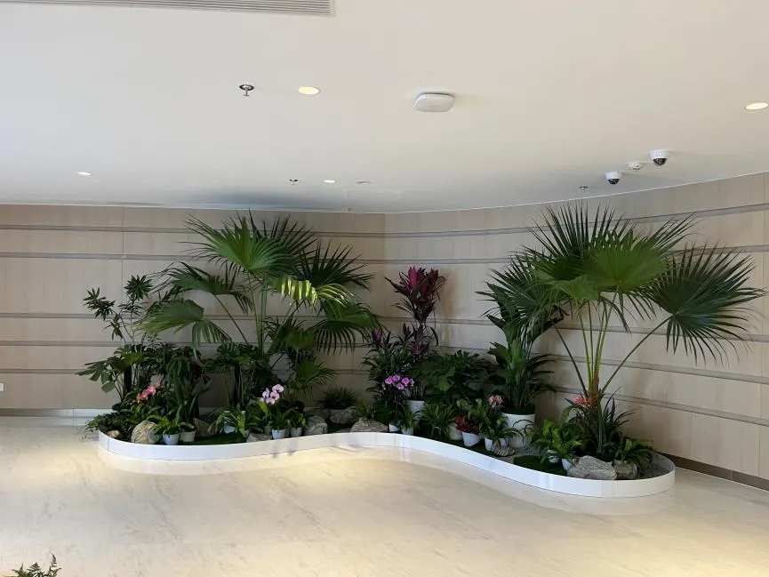 镇海绿植租赁哪家好