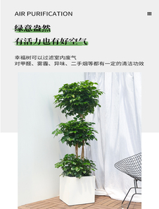 宁波慈溪绿化养护公司